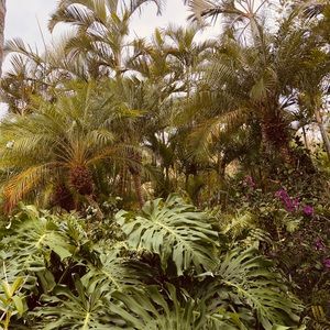 Meet your Posher, Jen